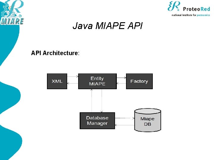 Java MIAPE API Architecture: 