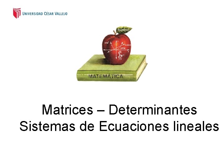 Matrices – Determinantes Sistemas de Ecuaciones lineales 