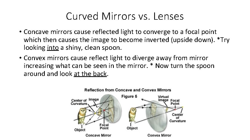 Curved Mirrors vs. Lenses • Concave mirrors cause reflected light to converge to a