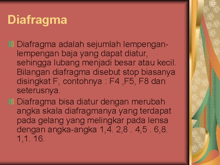 Diafragma adalah sejumlah lempengan baja yang dapat diatur, sehingga lubang menjadi besar atau kecil.