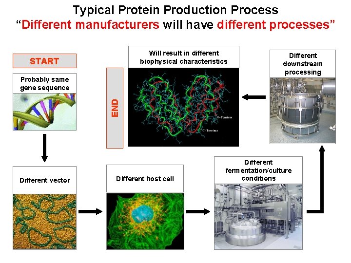 Typical Protein Production Process “Different manufacturers will have different processes” Will result in different