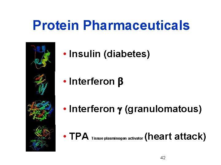 Protein Pharmaceuticals • Insulin (diabetes) • Interferon b • Interferon g (granulomatous) • TPA