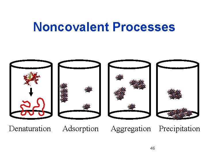 Noncovalent Processes Denaturation Adsorption Aggregation 46 Precipitation 