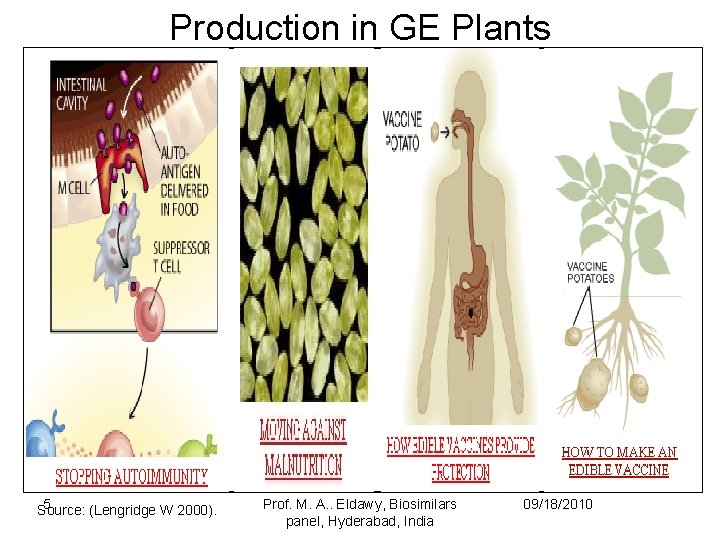 Production in GE Plants 5 Source: (Lengridge W 2000). Prof. M. A. . Eldawy,