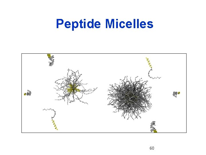 Peptide Micelles 60 