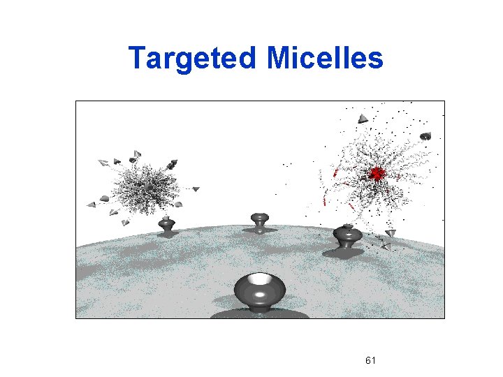 Targeted Micelles 61 