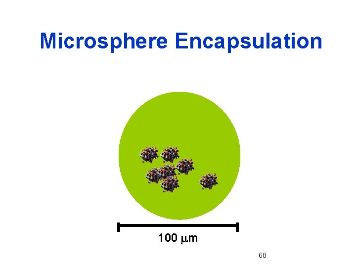 Microsphere Encapsulation 100 mm 68 