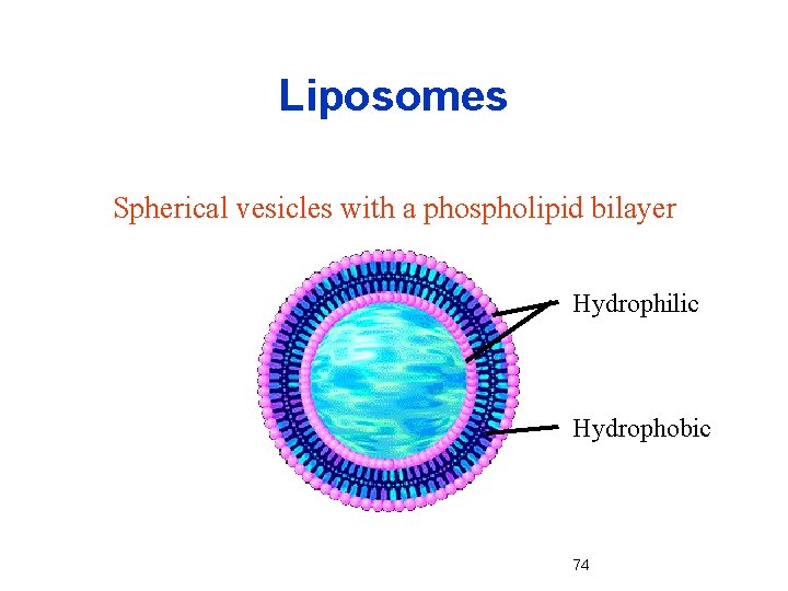 Liposomes Spherical vesicles with a phospholipid bilayer Hydrophilic Hydrophobic 74 