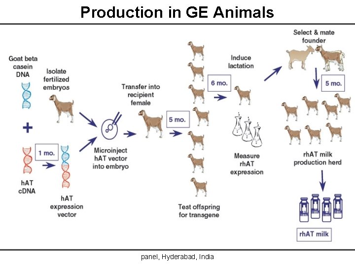 Production in GE Animals 8 Prof. M. A. . Eldawy, Biosimilars panel, Hyderabad, India