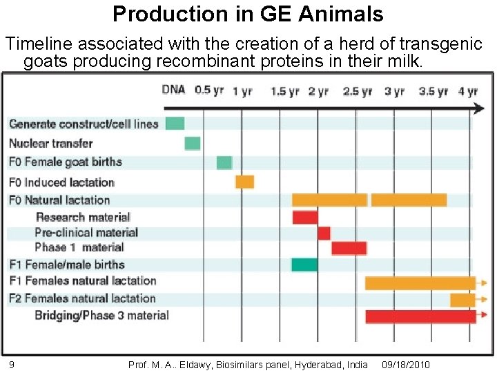 Production in GE Animals Timeline associated with the creation of a herd of transgenic