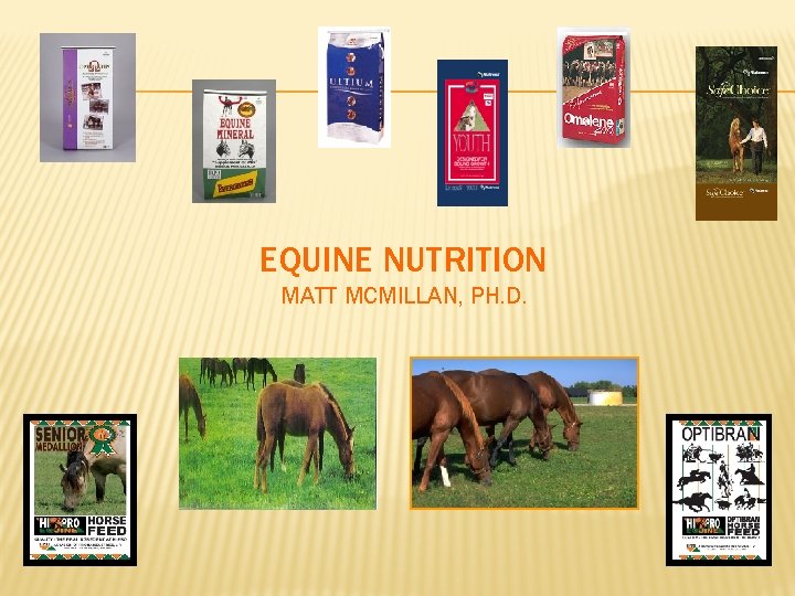 EQUINE NUTRITION MATT MCMILLAN, PH. D. 