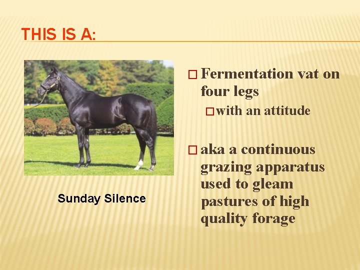 THIS IS A: � Fermentation four legs � with � aka Sunday Silence vat