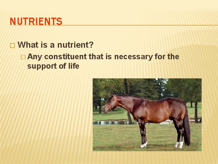 NUTRIENTS � What is a nutrient? � Any constituent that is necessary for the