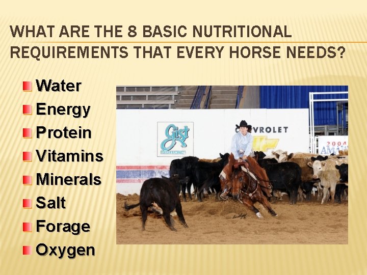 WHAT ARE THE 8 BASIC NUTRITIONAL REQUIREMENTS THAT EVERY HORSE NEEDS? � Water W