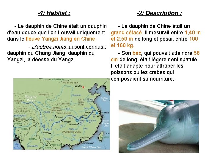 -1/ Habitat : - Le dauphin de Chine était un dauphin d'eau douce que