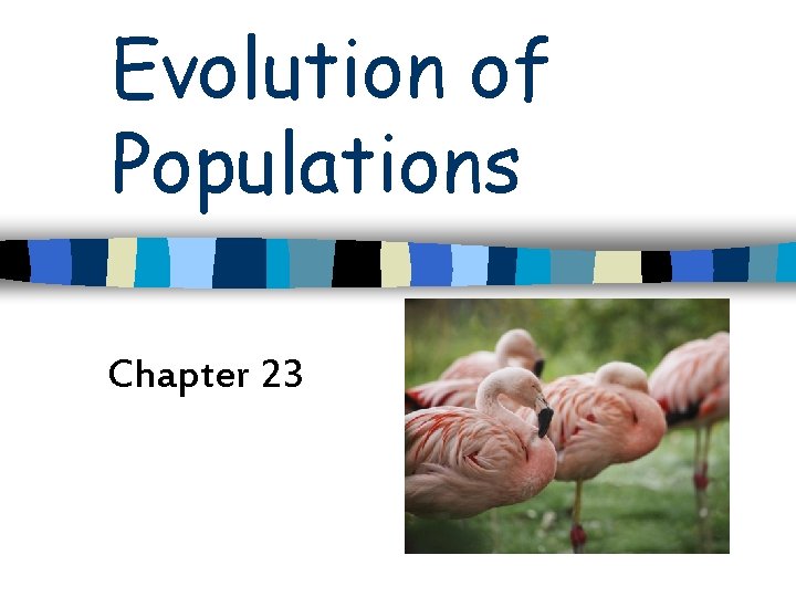 Evolution of Populations Chapter 23 