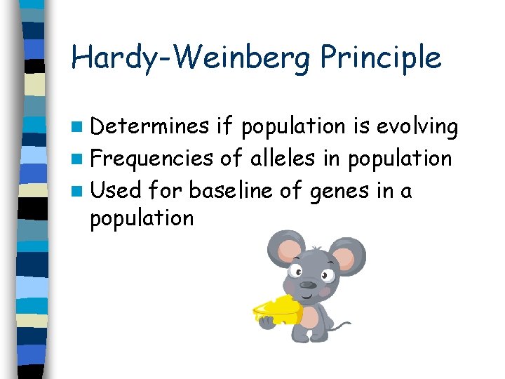 Hardy-Weinberg Principle n Determines if population is evolving n Frequencies of alleles in population