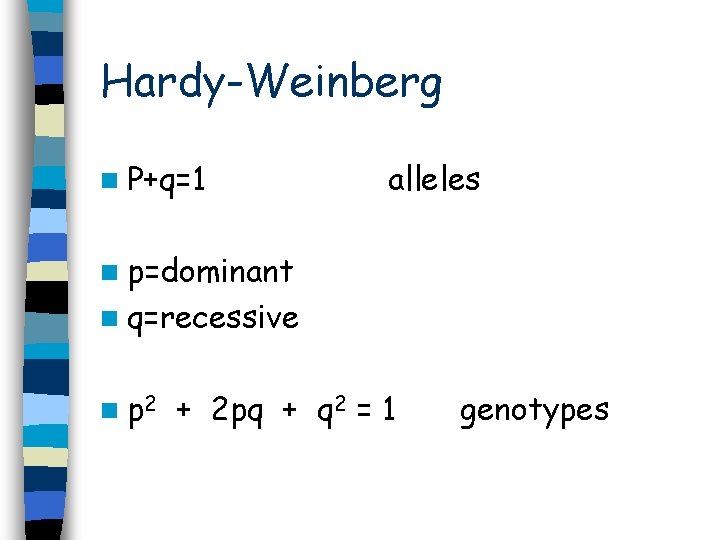 Hardy-Weinberg n P+q=1 alleles n p=dominant n q=recessive n p 2 + 2 pq
