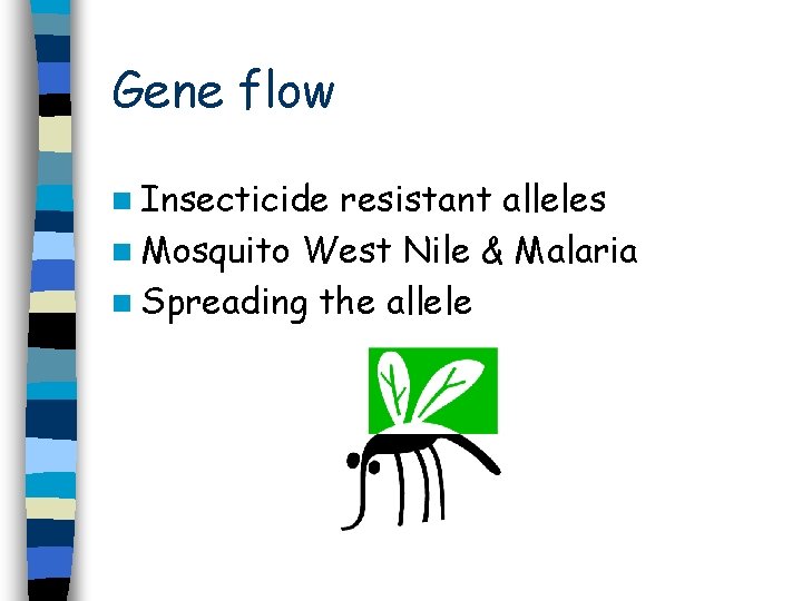 Gene flow n Insecticide resistant alleles n Mosquito West Nile & Malaria n Spreading