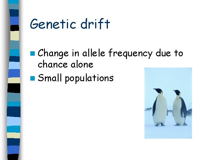 Genetic drift n Change in allele frequency due to chance alone n Small populations