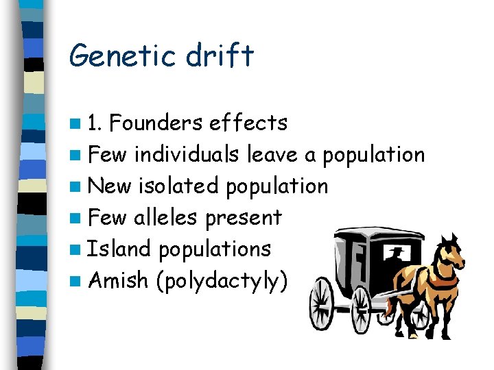 Genetic drift n 1. Founders effects n Few individuals leave a population n New