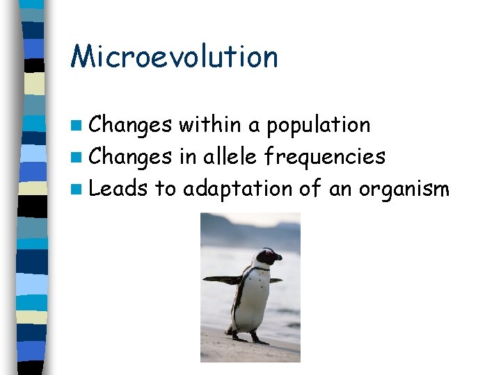 Microevolution n Changes within a population n Changes in allele frequencies n Leads to