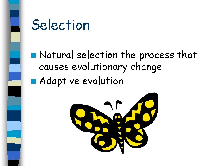 Selection n Natural selection the process that causes evolutionary change n Adaptive evolution 