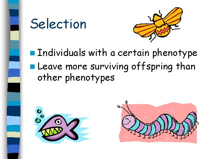Selection n Individuals with a certain phenotype n Leave more surviving offspring than other