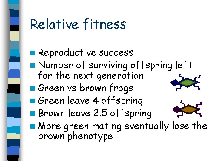 Relative fitness n Reproductive success n Number of surviving offspring left for the next