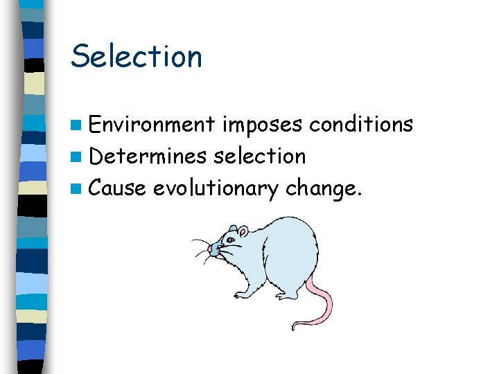 Selection n Environment imposes conditions n Determines selection n Cause evolutionary change. 