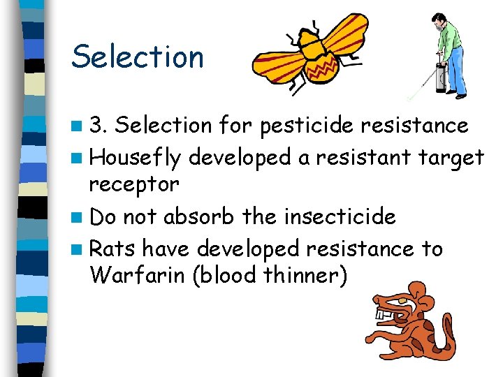 Selection n 3. Selection for pesticide resistance n Housefly developed a resistant target receptor