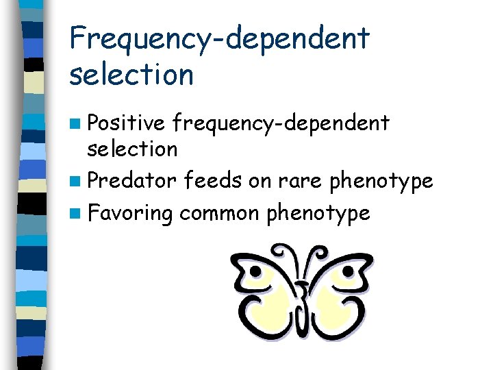 Frequency-dependent selection n Positive frequency-dependent selection n Predator feeds on rare phenotype n Favoring