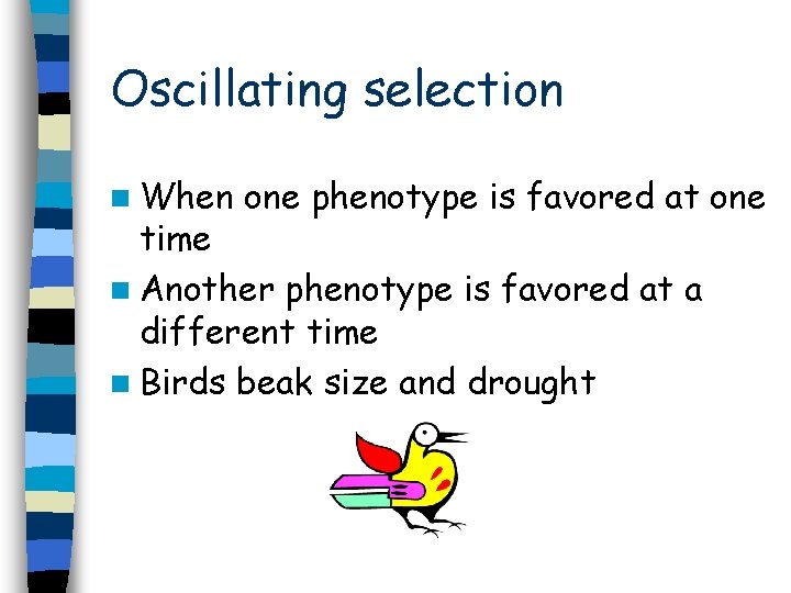 Oscillating selection n When one phenotype is favored at one time n Another phenotype