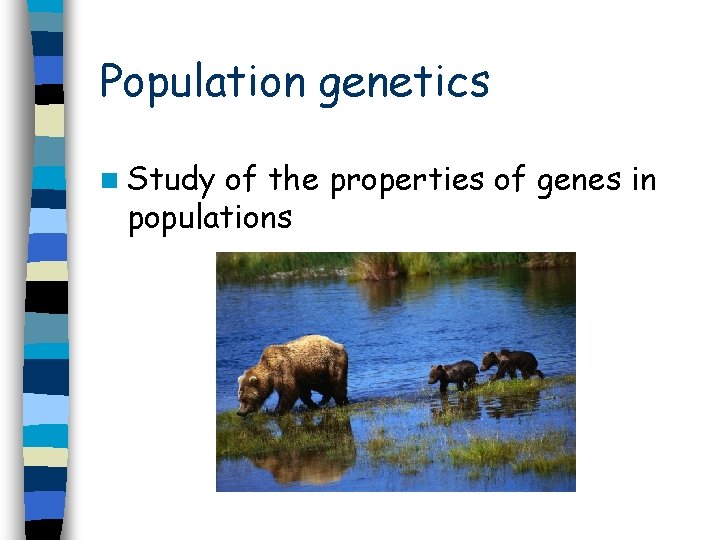 Population genetics n Study of the properties of genes in populations 