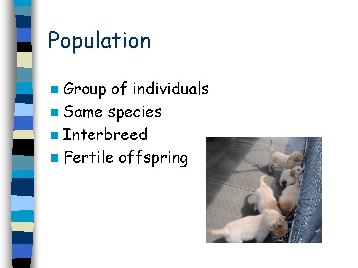 Population n Group of individuals n Same species n Interbreed n Fertile offspring 