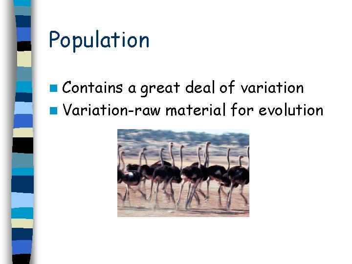 Population n Contains a great deal of variation n Variation-raw material for evolution 