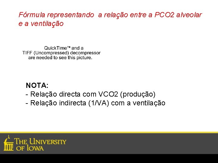 Fórmula representando a relação entre a PCO 2 alveolar e a ventilação NOTA: -