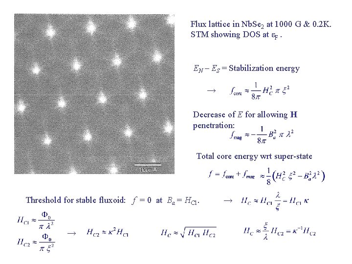 Flux lattice in Nb. Se 2 at 1000 G & 0. 2 K. STM