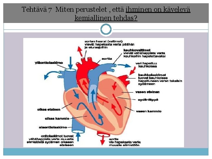 Tehtävä 7 Miten perustelet , että ihminen on kävelevä kemiallinen tehdas? 