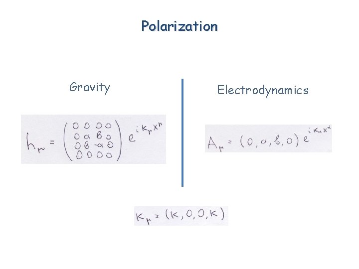 Polarization Gravity Electrodynamics 