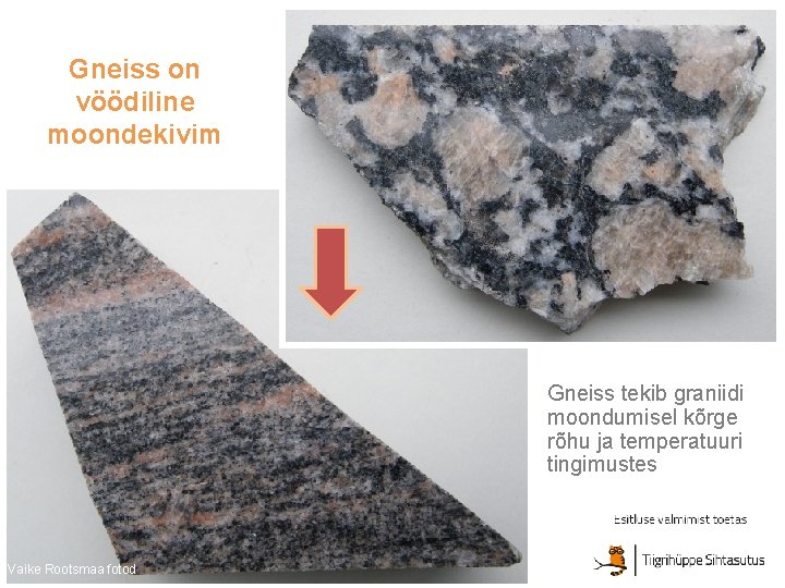 Gneiss on vöödiline moondekivim Gneiss tekib graniidi moondumisel kõrge rõhu ja temperatuuri tingimustes Vaike Gneiss on vöödiline moondekivim Gneiss tekib graniidi moondumisel kõrge rõhu ja temperatuuri tingimustes Vaike