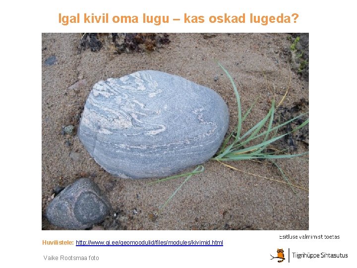 Igal kivil oma lugu – kas oskad lugeda? Huvilistele: http: //www. gi. ee/geomoodulid/files/modules/kivimid. html Igal kivil oma lugu – kas oskad lugeda? Huvilistele: http: //www. gi. ee/geomoodulid/files/modules/kivimid. html