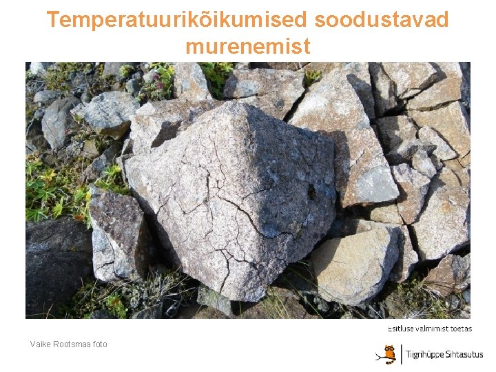 Temperatuurikõikumised soodustavad murenemist Vaike Rootsmaa foto Temperatuurikõikumised soodustavad murenemist Vaike Rootsmaa foto