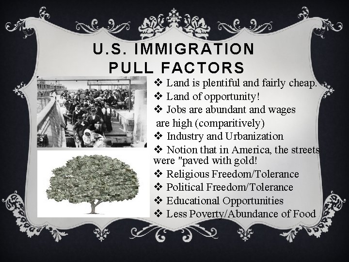 U. S. IMMIGRATION PULL FACTORS v Land is plentiful and fairly cheap. v Land