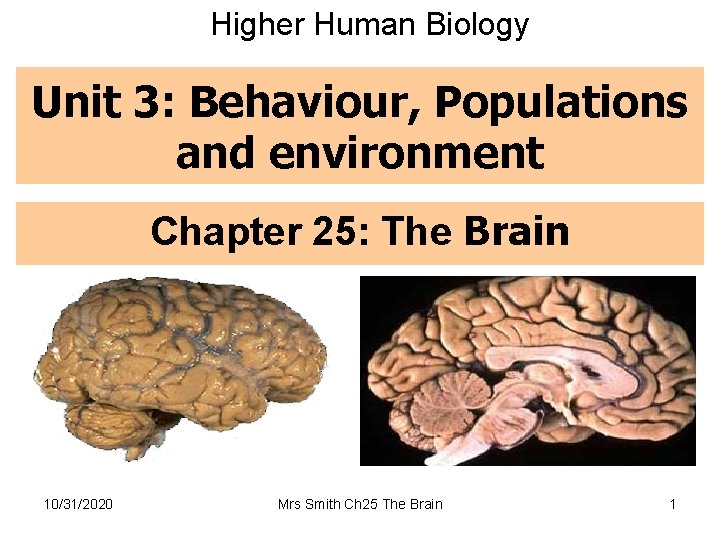 Higher Human Biology Unit 3: Behaviour, Populations and environment Chapter 25: The Brain 10/31/2020