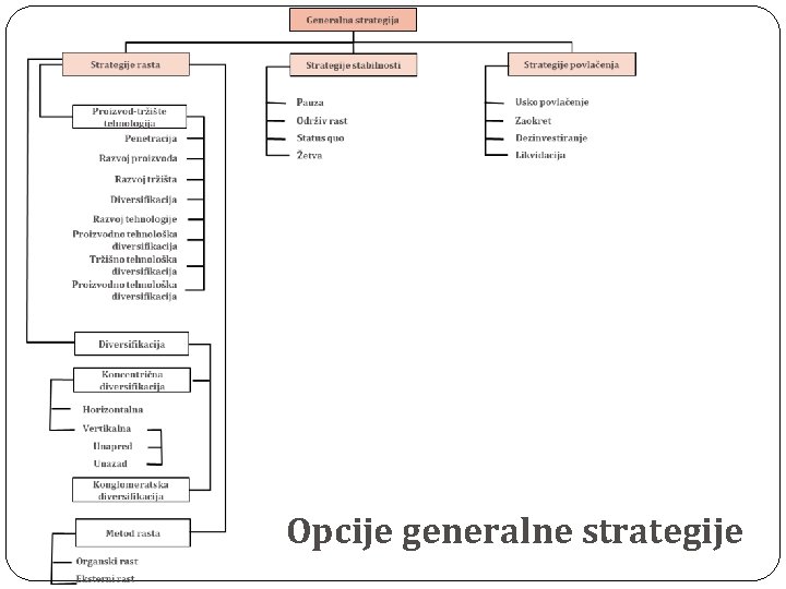 Opcije generalne strategije 