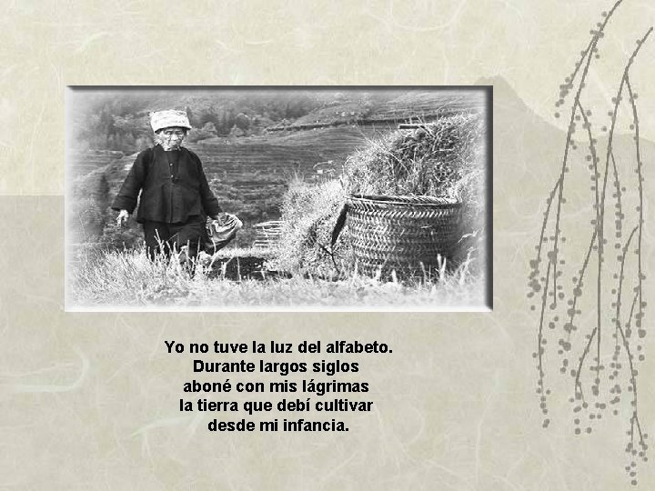 Yo no tuve la luz del alfabeto. Durante largos siglos aboné con mis lágrimas Yo no tuve la luz del alfabeto. Durante largos siglos aboné con mis lágrimas