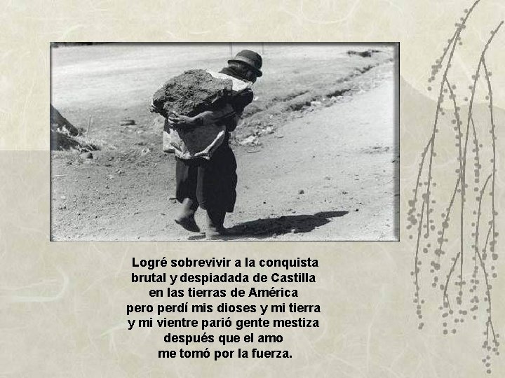 Logré sobrevivir a la conquista brutal y despiadada de Castilla en las tierras de Logré sobrevivir a la conquista brutal y despiadada de Castilla en las tierras de