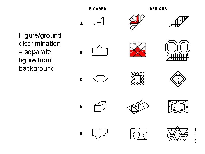 Figure/ground discrimination – separate figure from background 