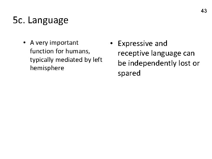 43 5 c. Language • A very important function for humans, typically mediated by